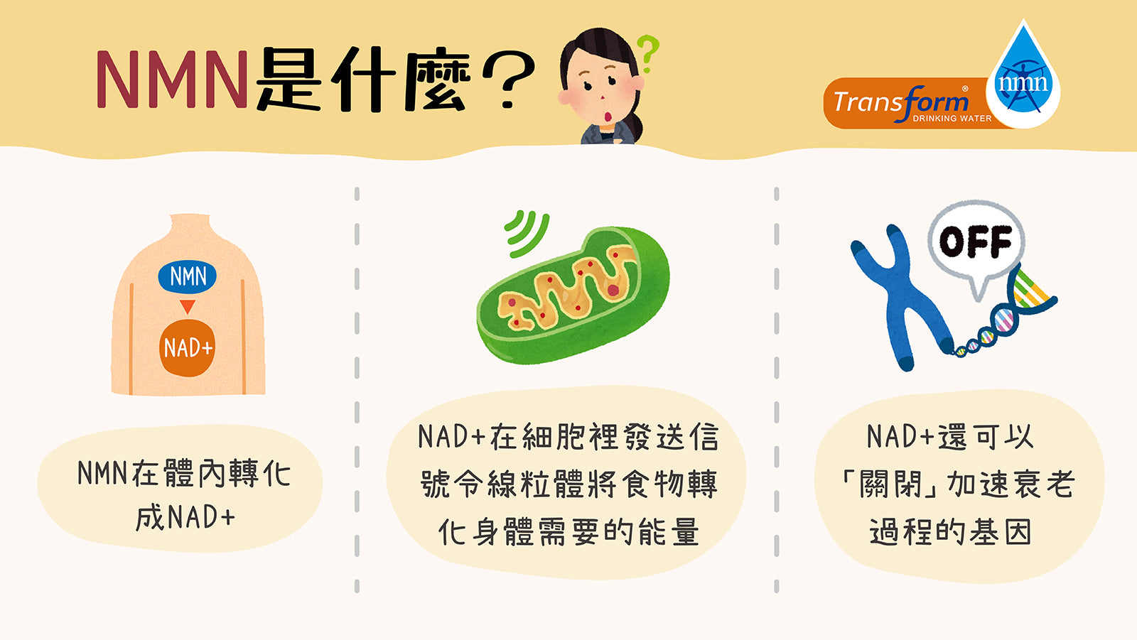 NMN 是什麼？