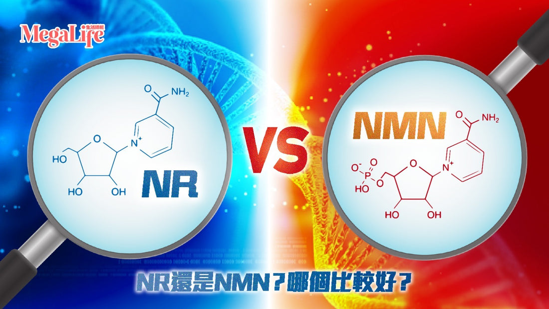 NR還是NMN？哪個比較好？